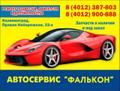 Автосервис и Автопрокат "Фалькон"